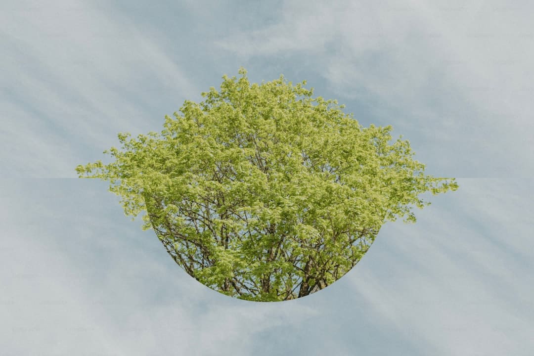 常吃的鱼有哪些